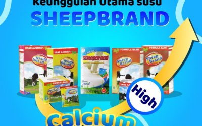 Keunggulan Susu Sheepbrand : Tinggi Kalsium